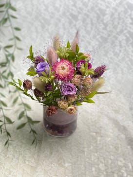 ずこうしつ〜sugamo〜に投稿された画像（2024/11/17）