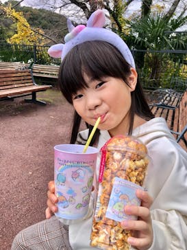 日本モンキーパークに投稿された画像（2024/11/17）