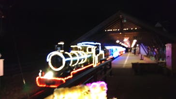 修善寺虹の郷に投稿された画像（2024/11/17）