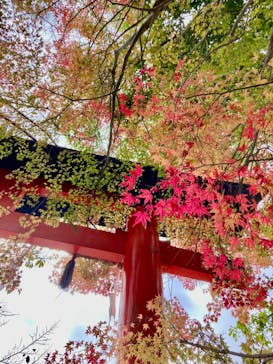 京阪電車に投稿された画像（2024/11/17）