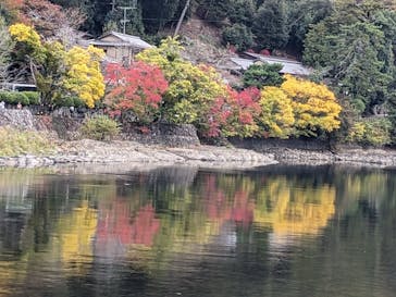 京阪電車に投稿された画像（2024/11/17）