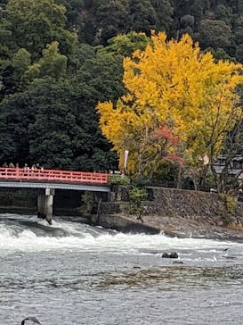 京阪電車に投稿された画像（2024/11/17）