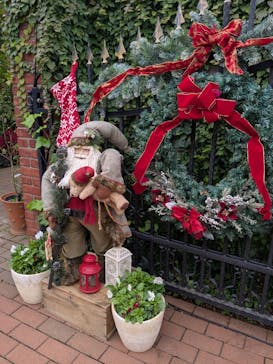 横浜イングリッシュガーデンに投稿された画像（2024/11/17）