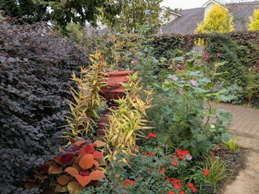 横浜イングリッシュガーデンに投稿された画像（2024/11/17）