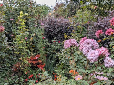 横浜イングリッシュガーデンに投稿された画像（2024/11/17）