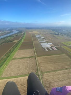 エンジェル・ジップ スカイスポーツ　つくばに投稿された画像（2024/11/17）