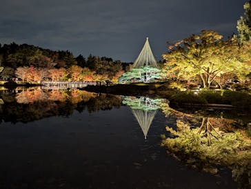 国営昭和記念公園 秋の夜散歩に投稿された画像（2024/11/17）