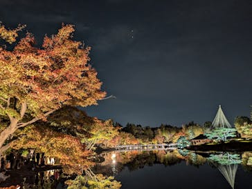 国営昭和記念公園 秋の夜散歩に投稿された画像（2024/11/17）
