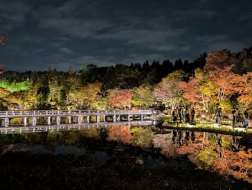 国営昭和記念公園 秋の夜散歩に投稿された画像（2024/11/17）