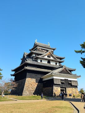 松江城に投稿された画像（2024/11/17）