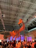 巨大恐竜展2024に投稿された画像（2024/11/17）