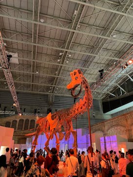 巨大恐竜展2024に投稿された画像（2024/11/17）