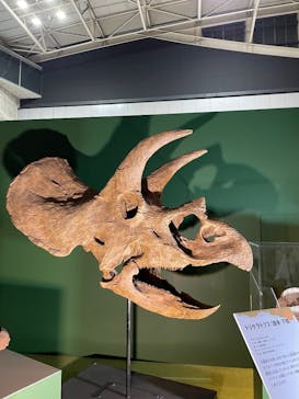 巨大恐竜展2024に投稿された画像（2024/11/17）