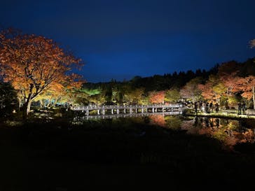 国営昭和記念公園 秋の夜散歩に投稿された画像（2024/11/17）