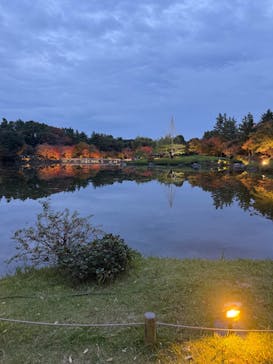 国営昭和記念公園 秋の夜散歩に投稿された画像（2024/11/17）