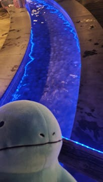 横浜みなとみらい 万葉倶楽部に投稿された画像（2024/11/17）