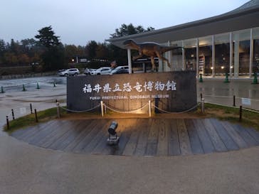 福井県立恐竜博物館に投稿された画像（2024/11/17）