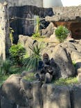 千葉市動物公園に投稿された画像（2024/11/17）