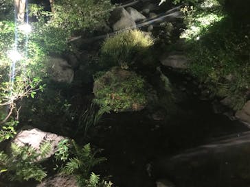 国営昭和記念公園 秋の夜散歩に投稿された画像（2024/11/17）