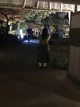 国営昭和記念公園 秋の夜散歩に投稿された画像（2024/11/17）