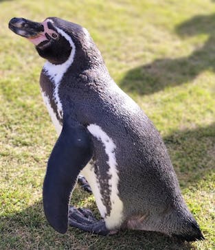 南知多ビーチランド＆南知多おもちゃ王国に投稿された画像（2024/11/17）