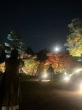 国営昭和記念公園 秋の夜散歩に投稿された画像（2024/11/17）