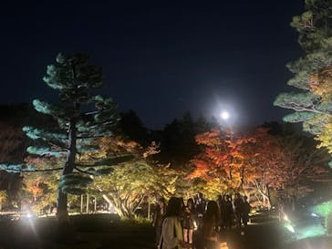 国営昭和記念公園 秋の夜散歩に投稿された画像（2024/11/17）