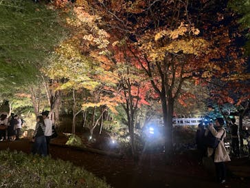 国営昭和記念公園 秋の夜散歩に投稿された画像（2024/11/17）