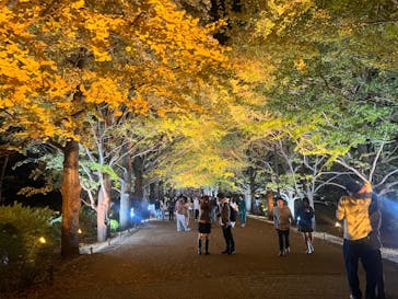 国営昭和記念公園 秋の夜散歩に投稿された画像（2024/11/17）