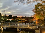 国営昭和記念公園 秋の夜散歩に投稿された画像（2024/11/17）