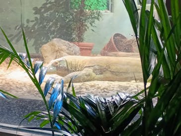 名古屋市東山動植物園に投稿された画像（2024/11/17）