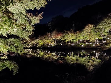 名古屋市東山動植物園に投稿された画像（2024/11/17）