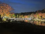 国営昭和記念公園 秋の夜散歩に投稿された画像（2024/11/17）