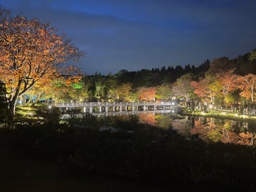 国営昭和記念公園 秋の夜散歩に投稿された画像（2024/11/17）