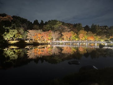 国営昭和記念公園 秋の夜散歩に投稿された画像（2024/11/17）