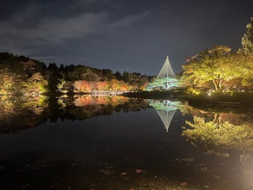 国営昭和記念公園 秋の夜散歩に投稿された画像（2024/11/17）