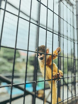 伊豆シャボテン動物公園に投稿された画像（2024/11/17）