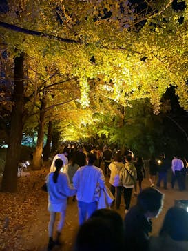 国営昭和記念公園 秋の夜散歩に投稿された画像（2024/11/17）