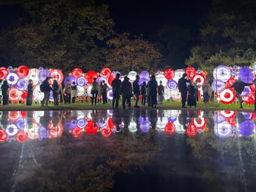 国営昭和記念公園 秋の夜散歩に投稿された画像（2024/11/17）