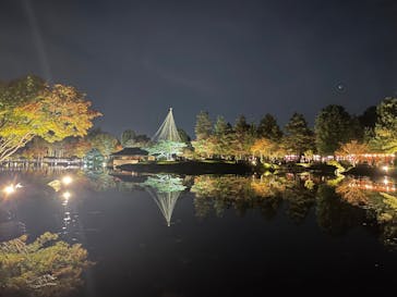 国営昭和記念公園 秋の夜散歩に投稿された画像（2024/11/17）