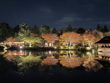 国営昭和記念公園 秋の夜散歩に投稿された画像（2024/11/17）