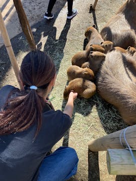 伊豆アニマルキングダムに投稿された画像（2024/11/17）