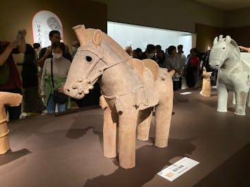 挂甲の武人 国宝指定50周年記念 特別展「はにわ」@東京国立博物館 平成館に投稿された画像（2024/11/17）