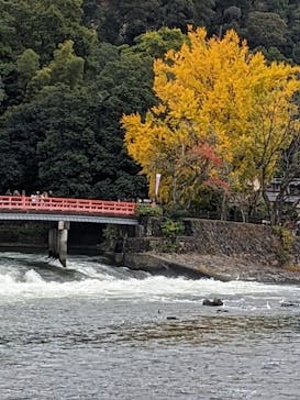 京阪電車に投稿された画像（2024/11/17）