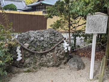 京阪電車に投稿された画像（2024/11/17）