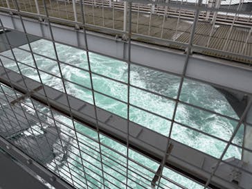 徳島県立 渦の道に投稿された画像（2024/11/17）