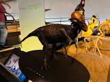 福井県立恐竜博物館に投稿された画像（2024/11/17）