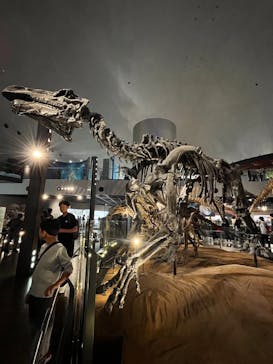 福井県立恐竜博物館に投稿された画像（2024/11/17）
