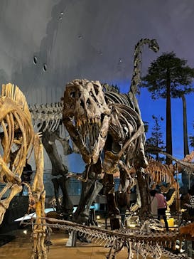 福井県立恐竜博物館に投稿された画像（2024/11/17）
