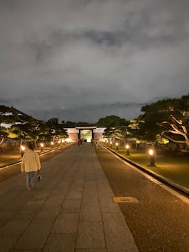 大阪城イルミナージュに投稿された画像（2024/11/17）